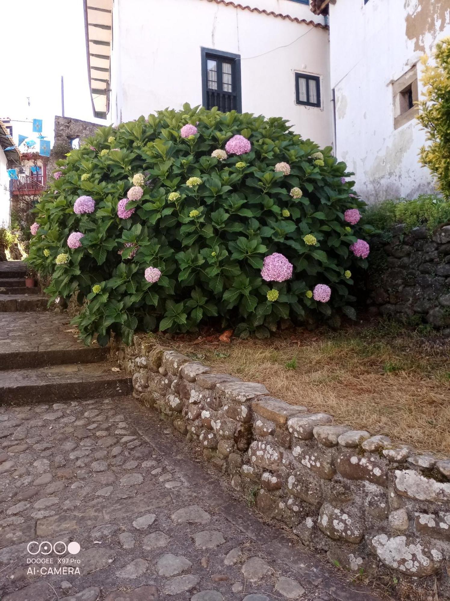 Apartamento Tazones 79 Vut6993As Exterior foto